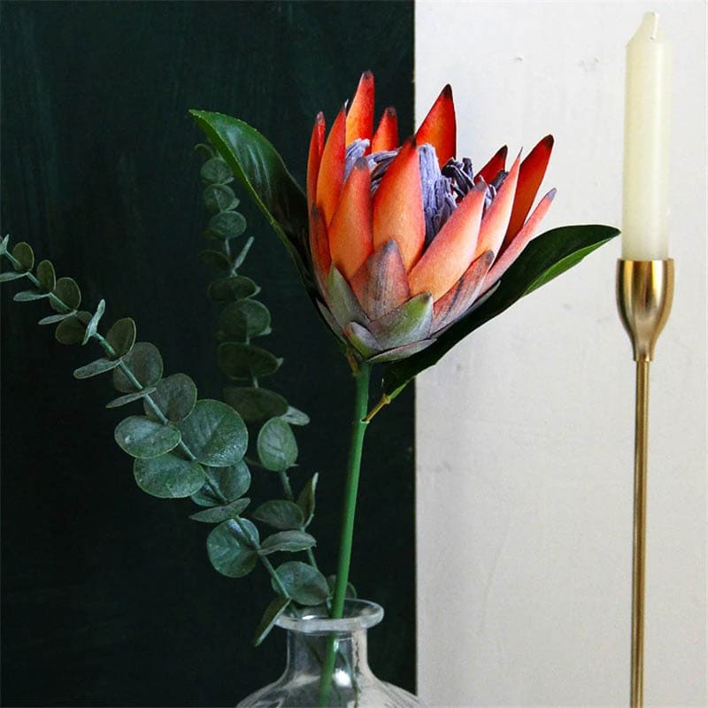 Fleur Protea Impérial