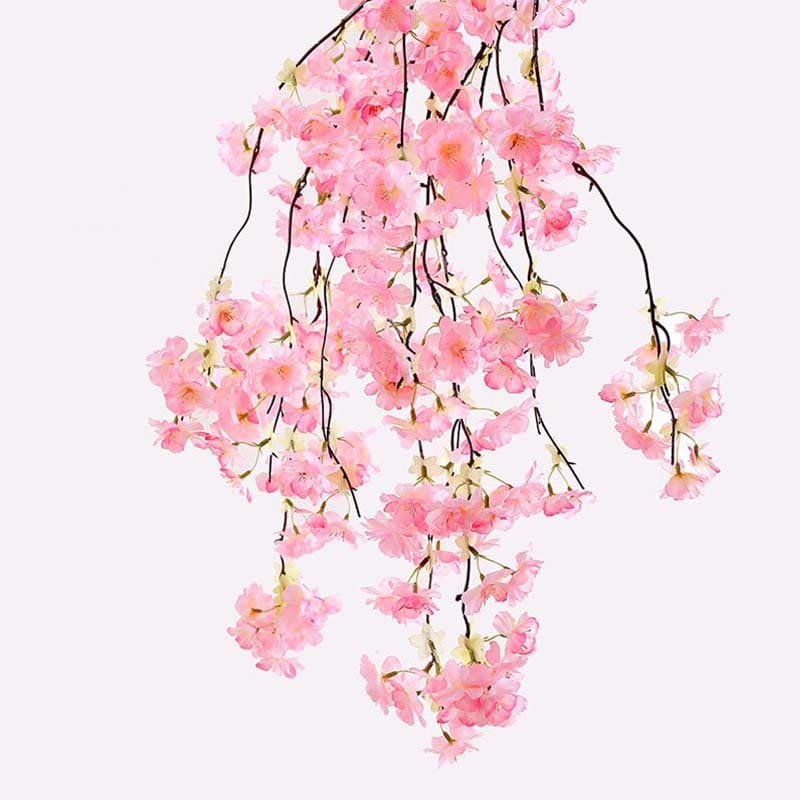 Fleur de Cerisier Japon Rose