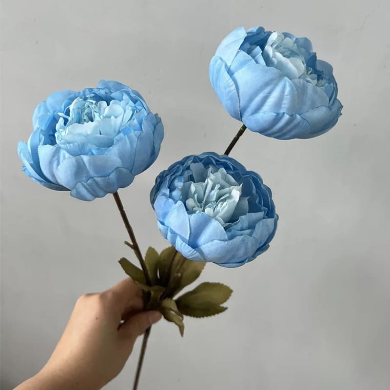 Fleurs Pivoines Bleu