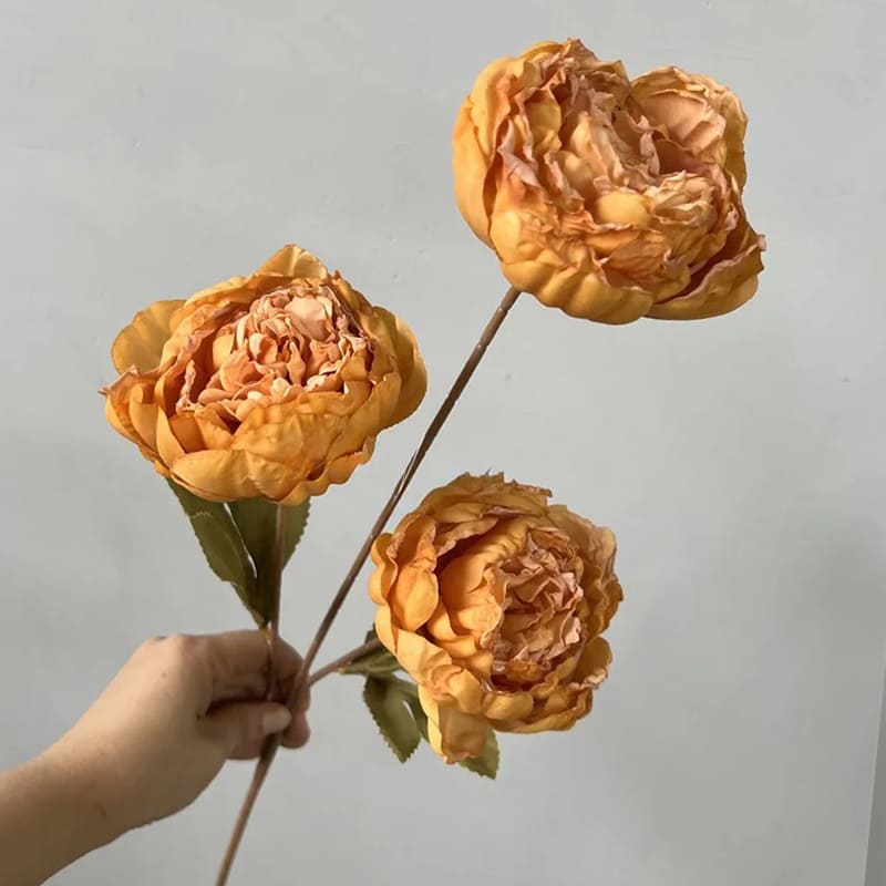 Fleurs Pivoines Orange