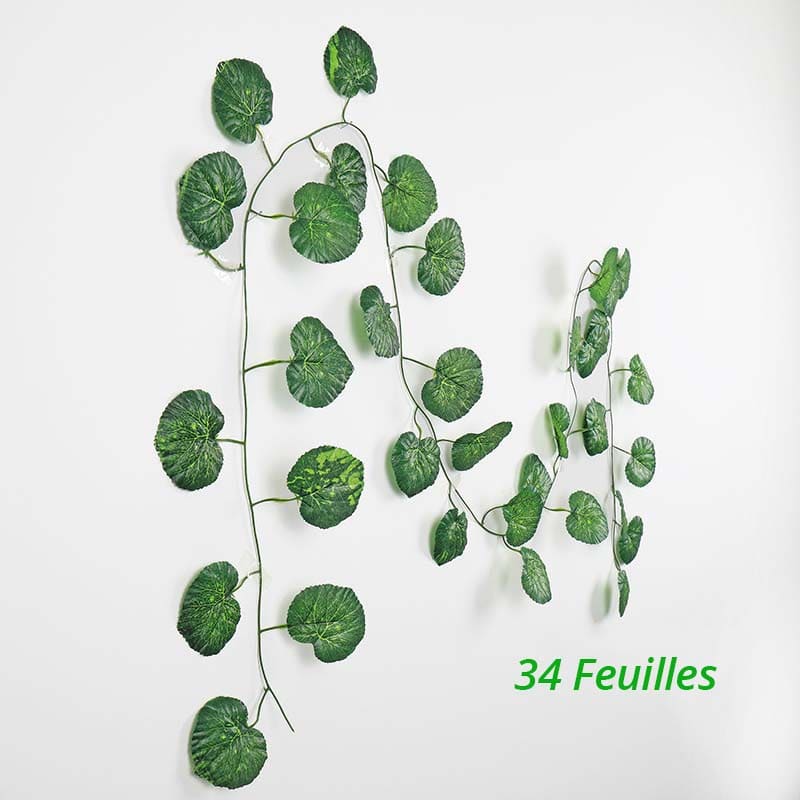 Guirlande Feuilles de Vigne Parthnocisses