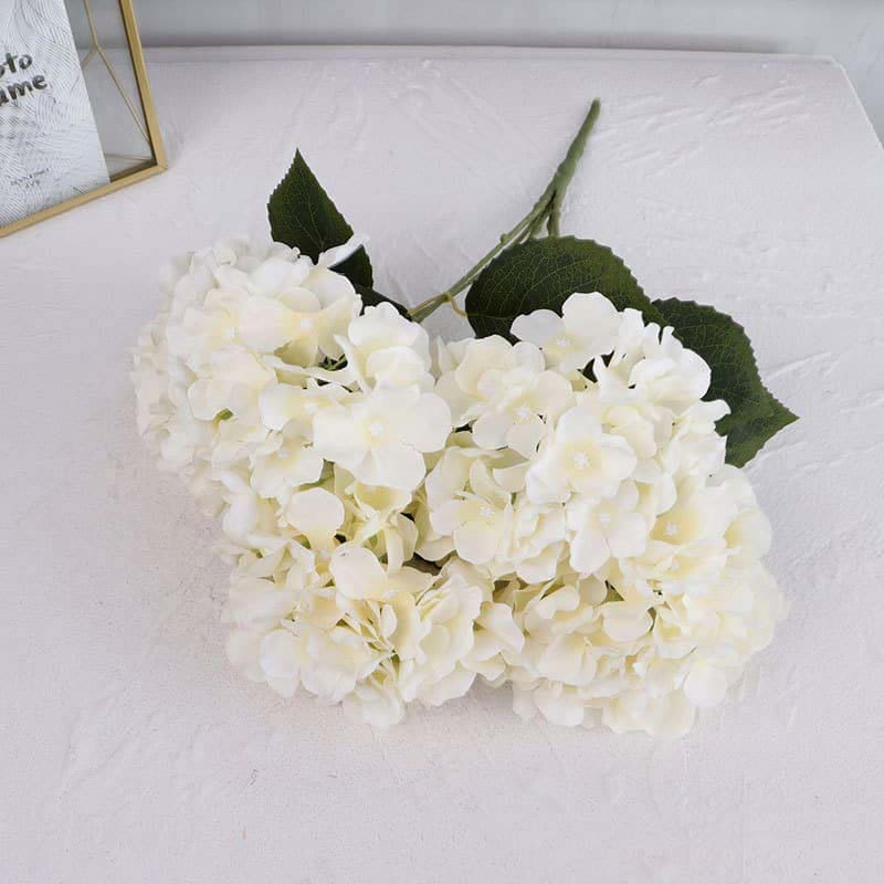 Hortensia Blanc Bouquet