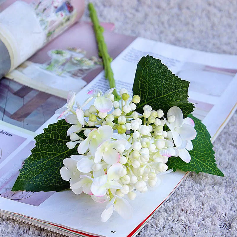 Hortensia Branche Blanc