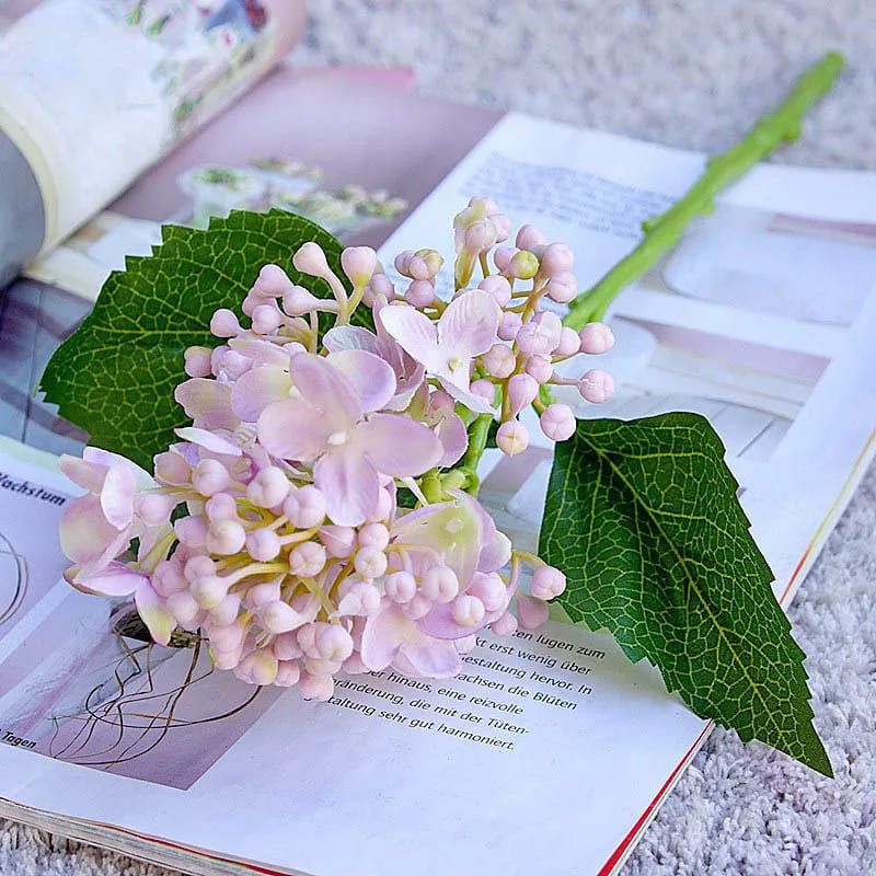 Hortensia Branche Rose