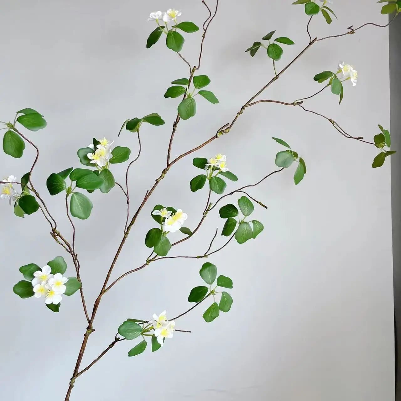 Lignum Vitae Blanc