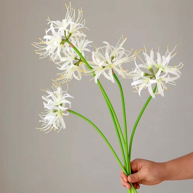 Lycoris Artificielle