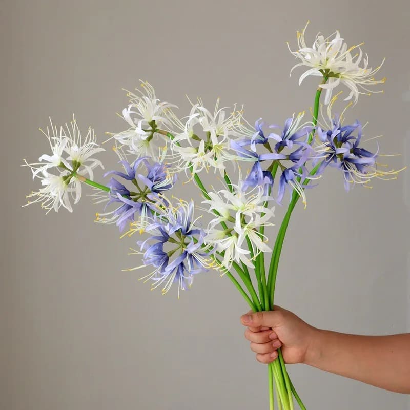 Lycoris Bouquet