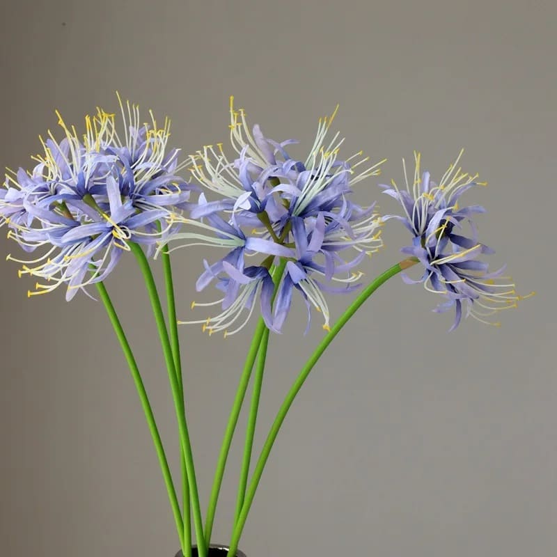 Lycoris Fleur