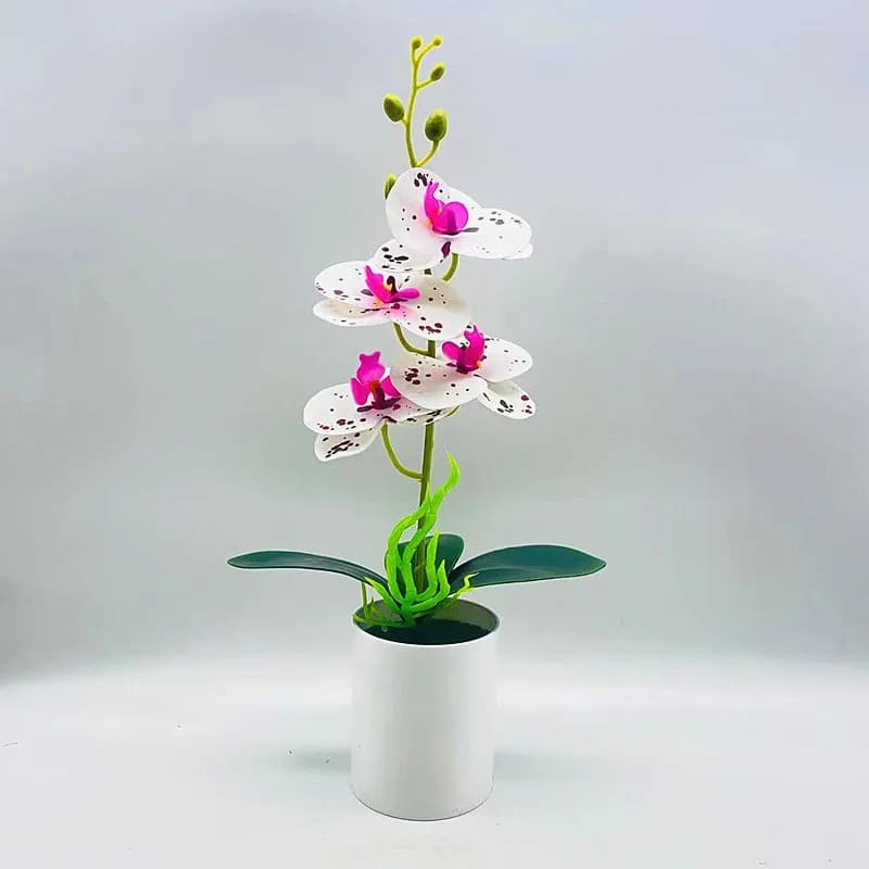 Orchidée Artificielle Pas Cher Blanc