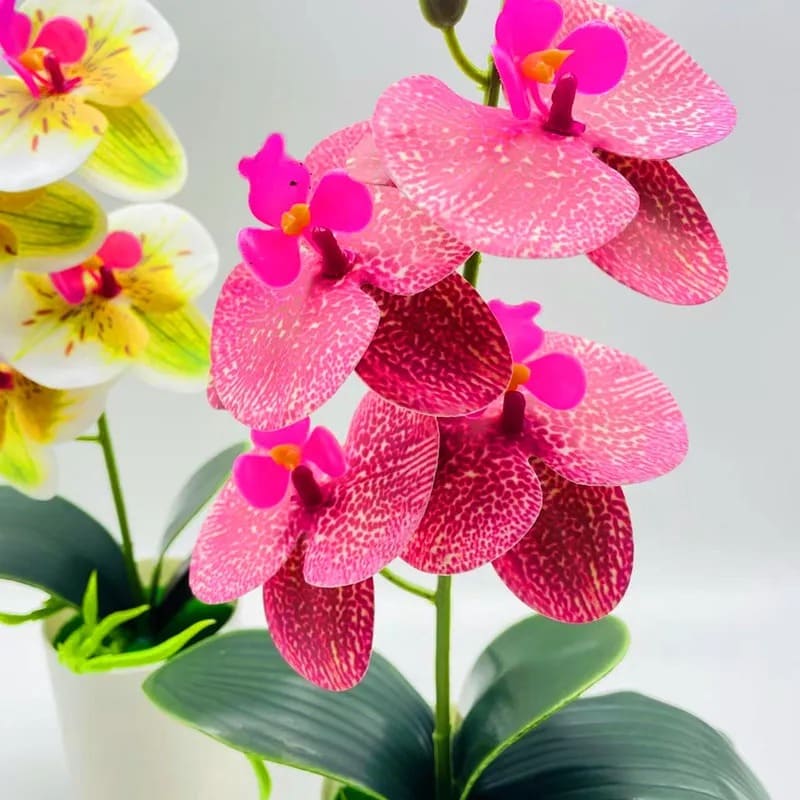 Orchidée Artificielle Pas Cher Fleur