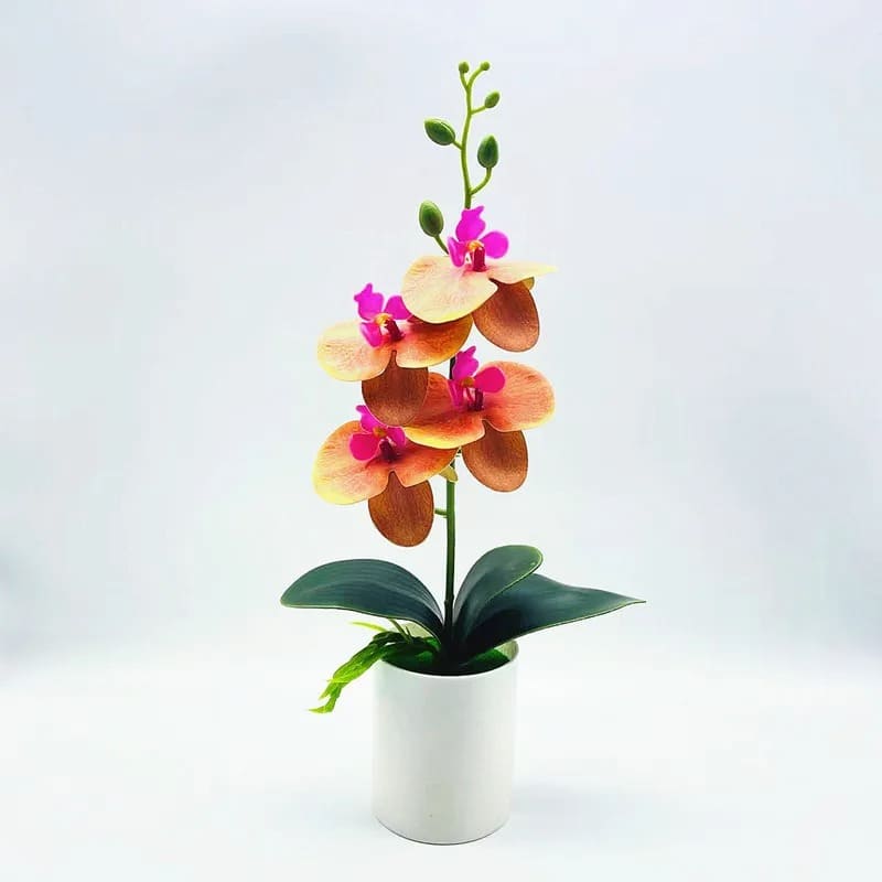 Orchidée Artificielle Pas Cher Orange Clair