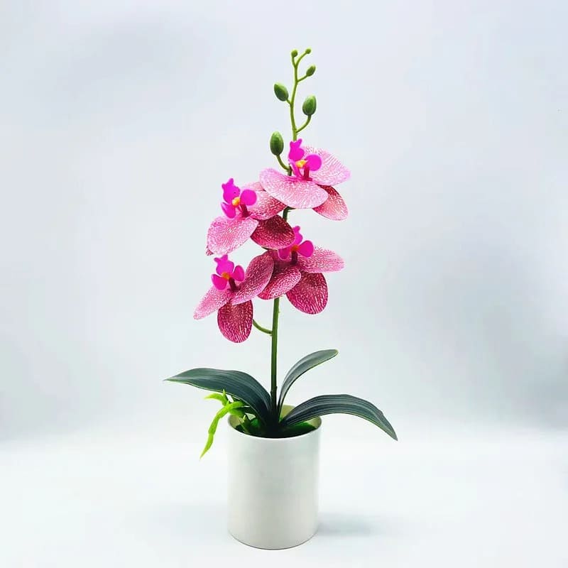 Orchidée Artificielle Pas Cher Rose