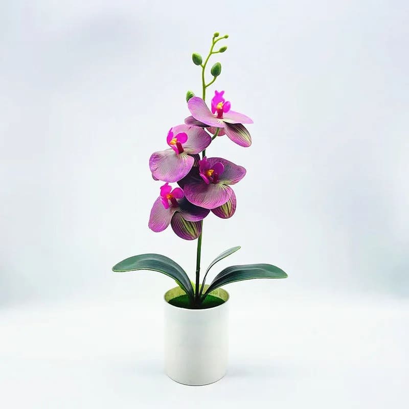 Orchidée Artificielle Pas Cher Violet