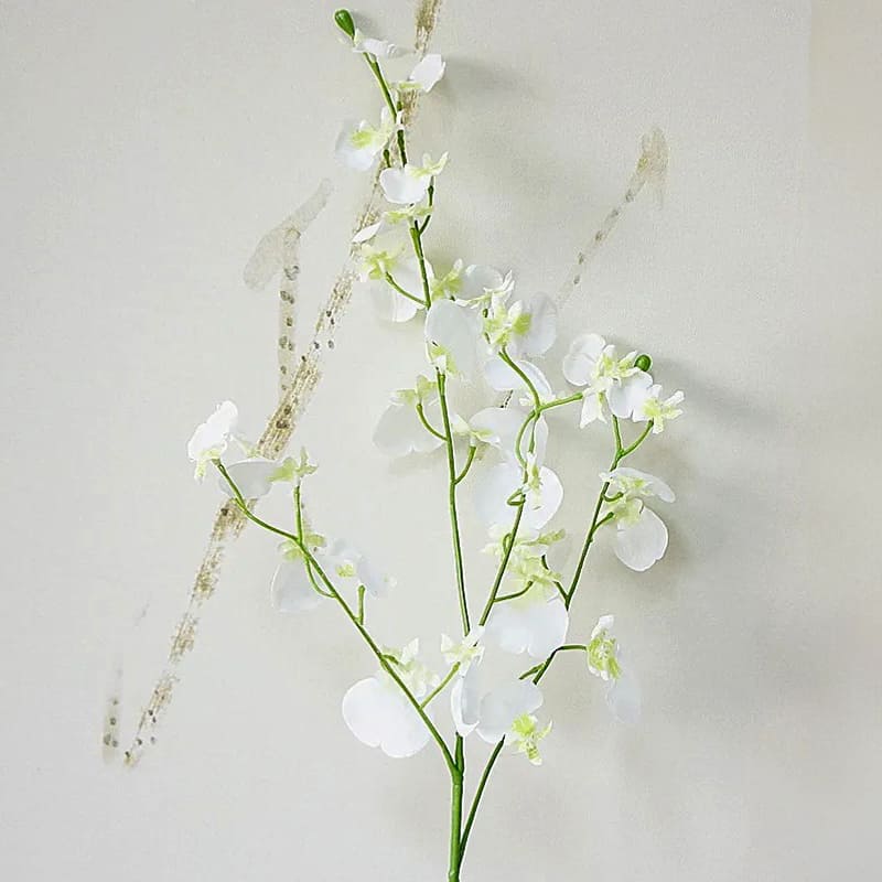 Orchidée Cambria Blanc