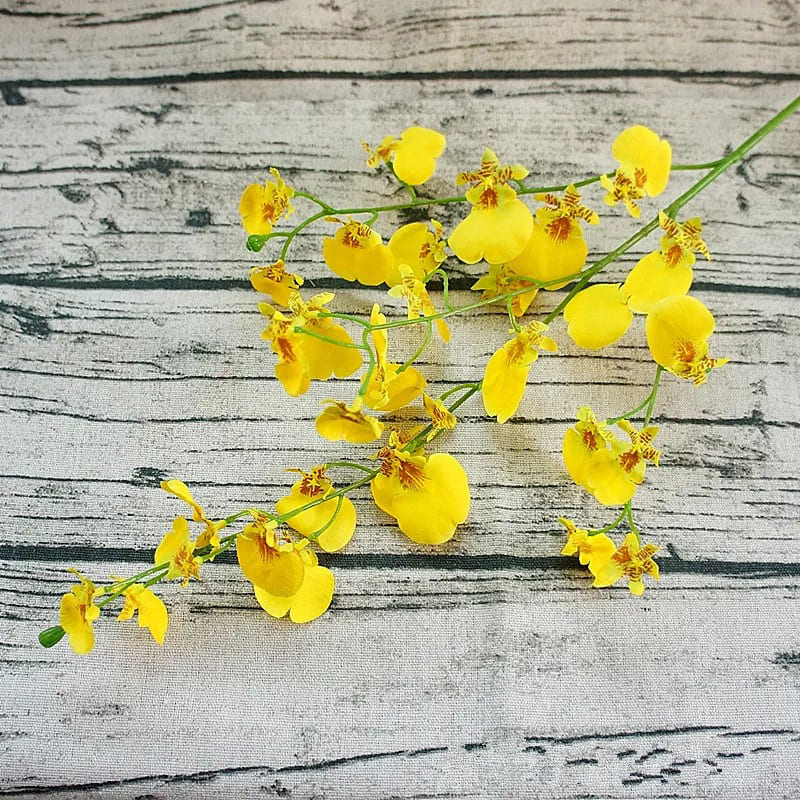 Orchidée Cambria Jaune