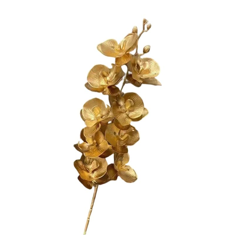 Orchidée Dorée Fleur
