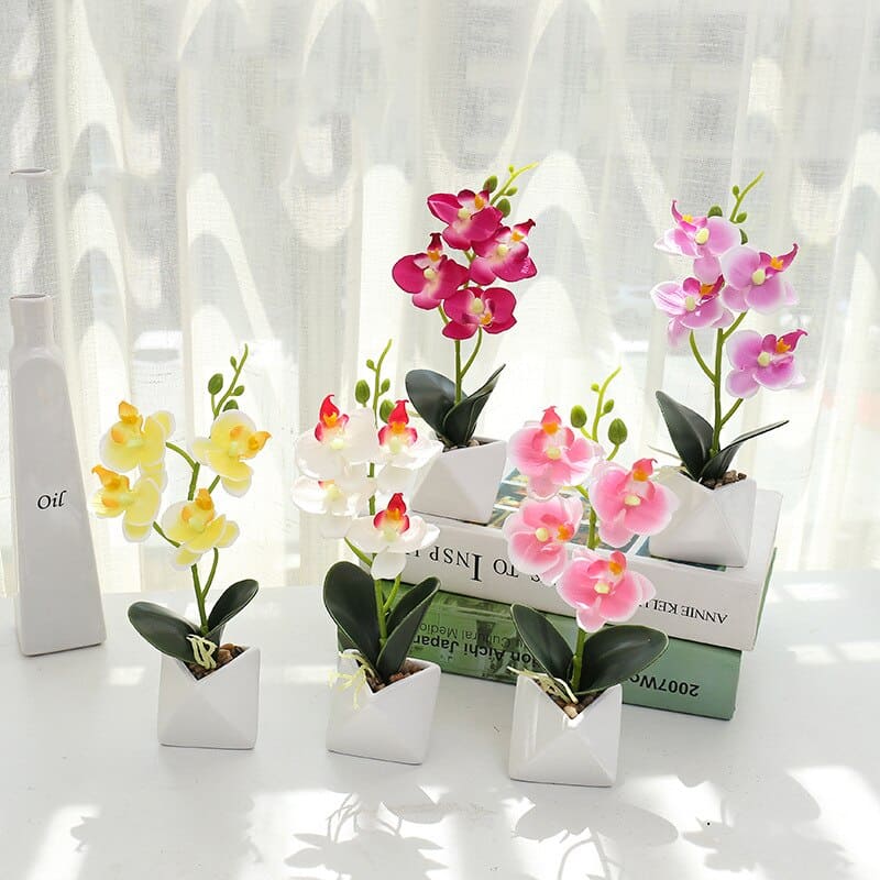 Orchidée Phalaenopsis Artificielle