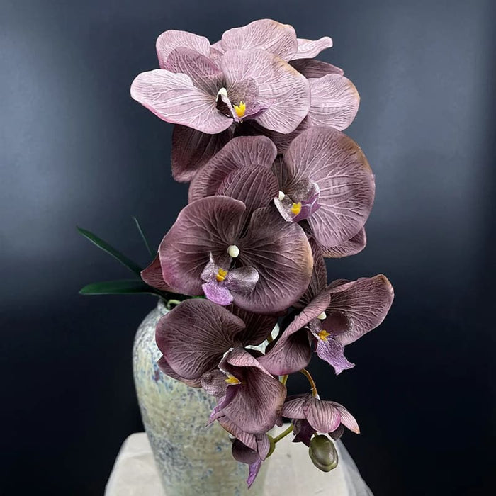Orchidees Artificielles Haut De Gamme