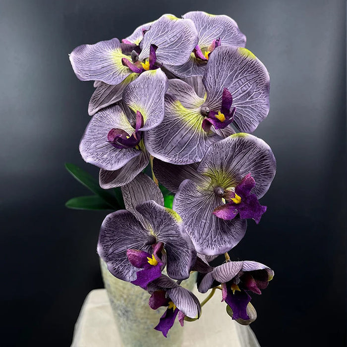 Orchidees Artificielles Haut De Gamme