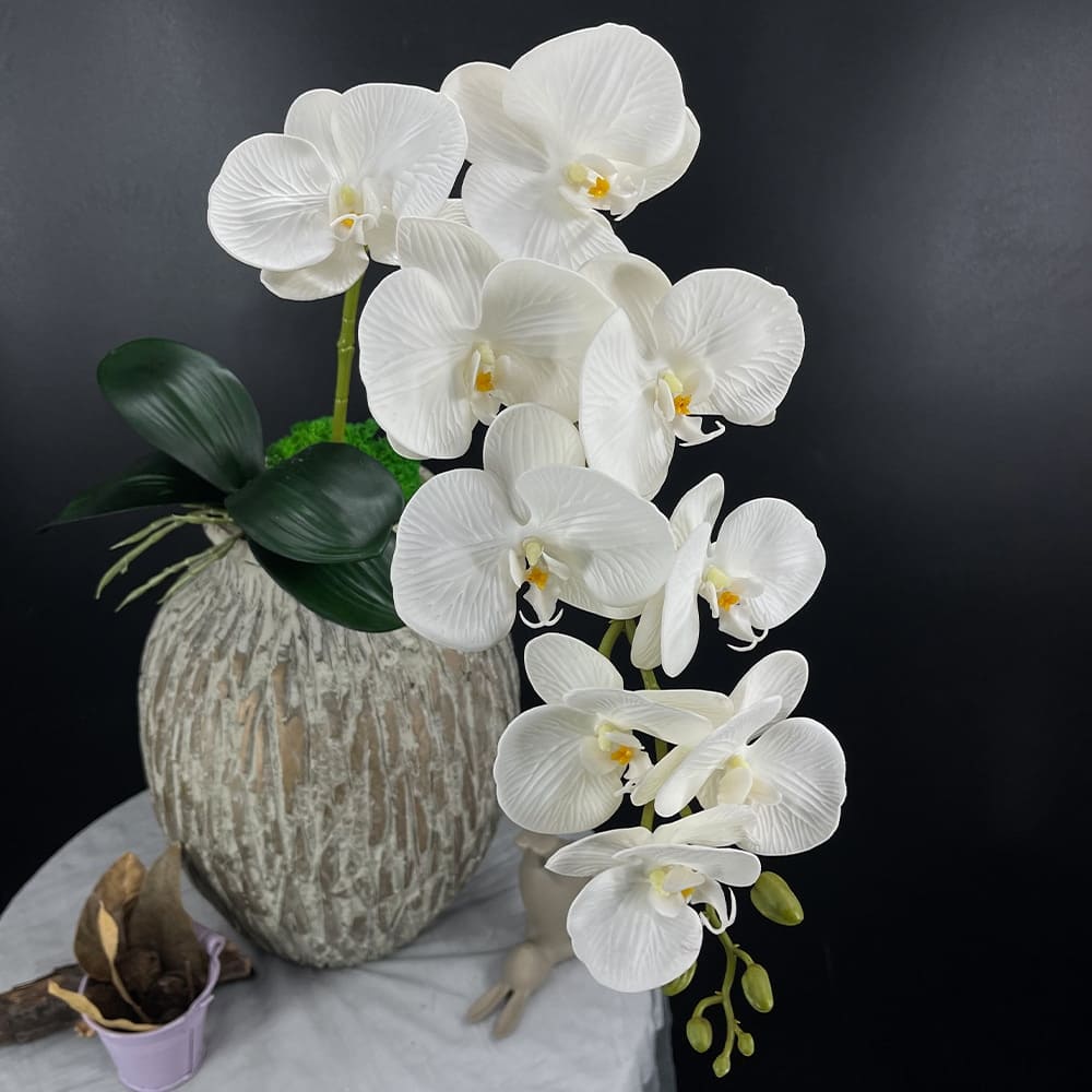 Comment différencier les orchidées artificielles