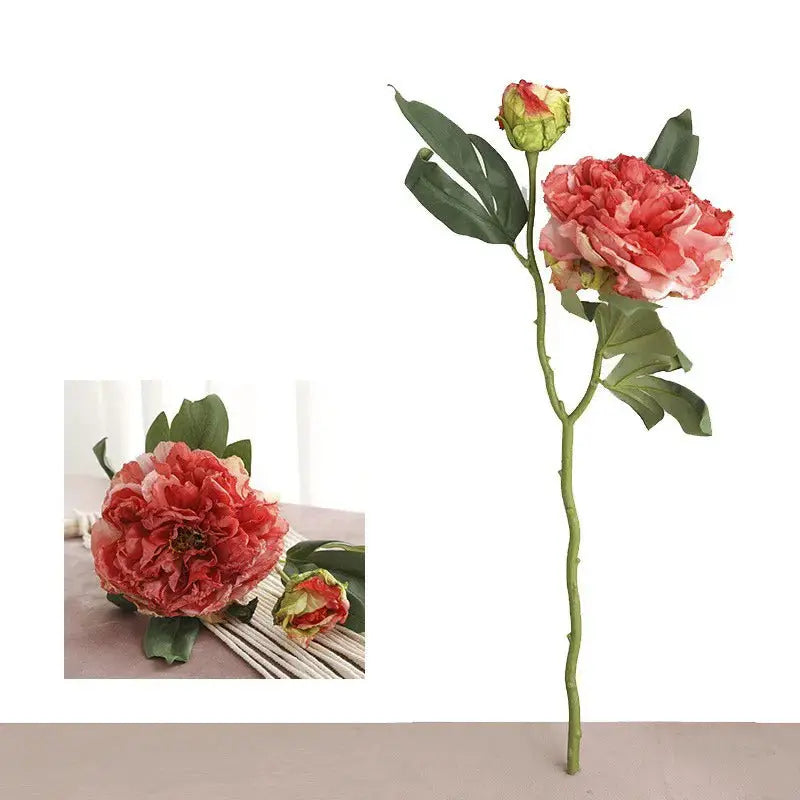 Pivoine Vintage