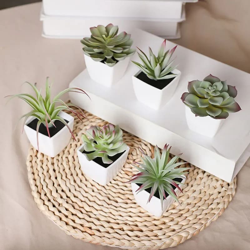 Plante Artificielle Succulentes Maison