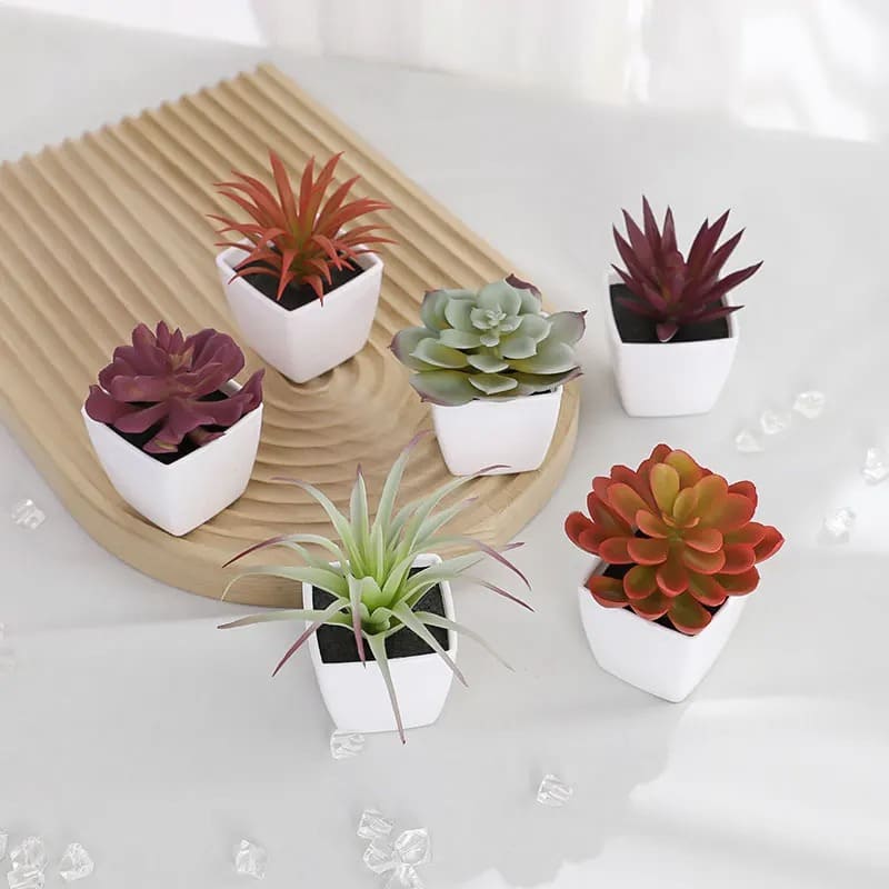 Plante Artificielle Succulentes Pot