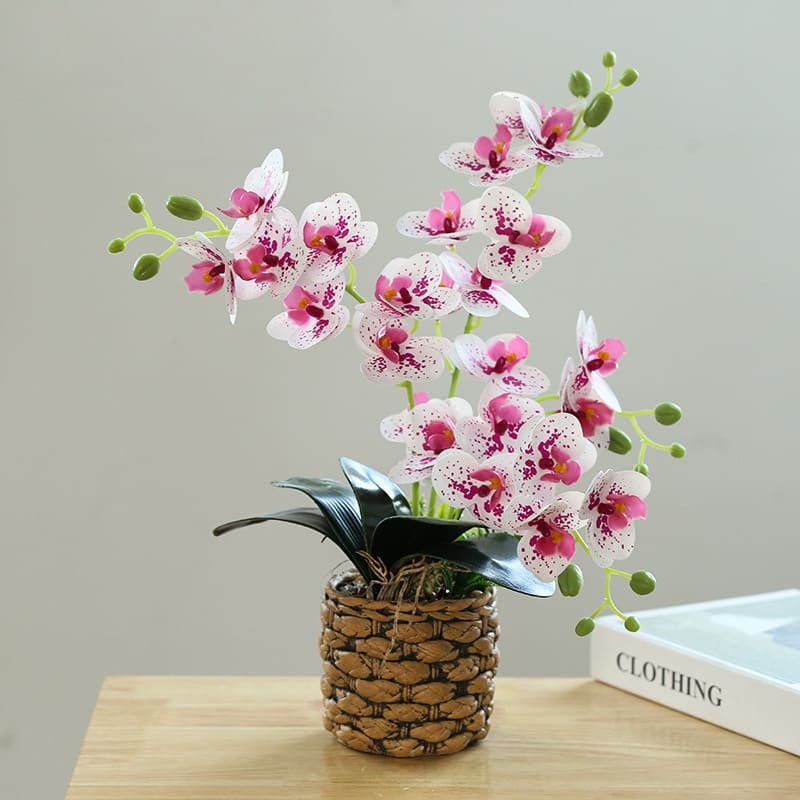 Generic Fleur Orchidées artificielles et sable décoratifs - Prix pas cher