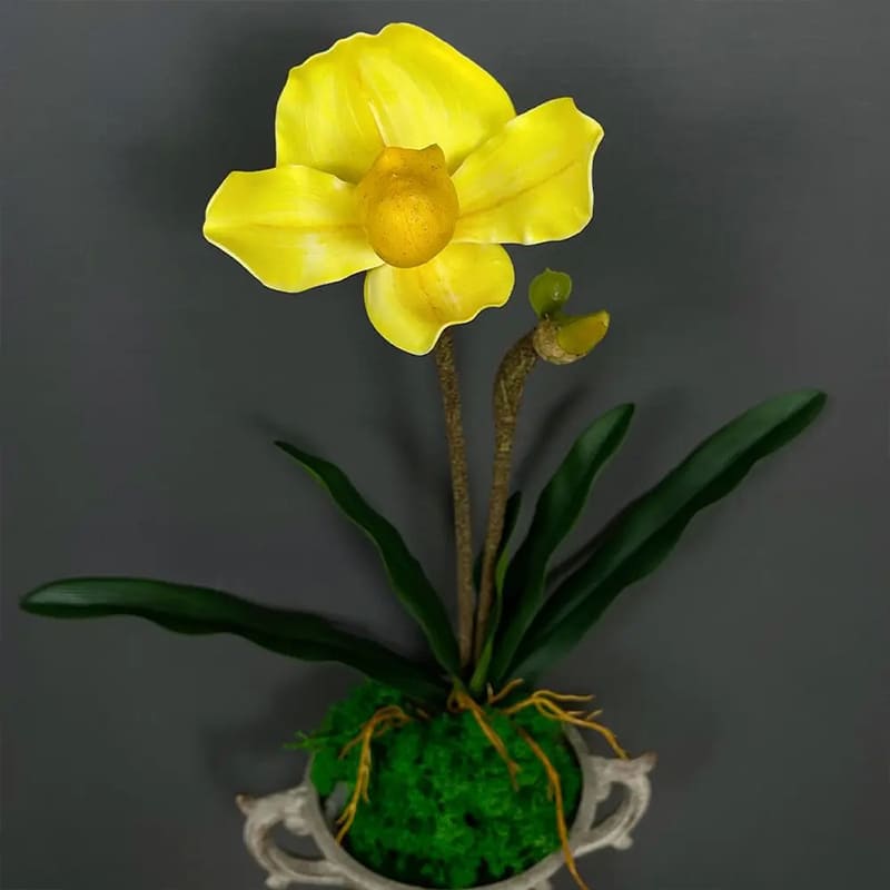 Tige Orchidée Jaune