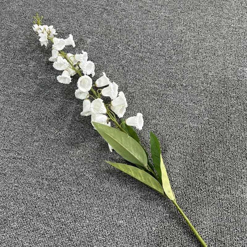 digitales fleurs blanc
