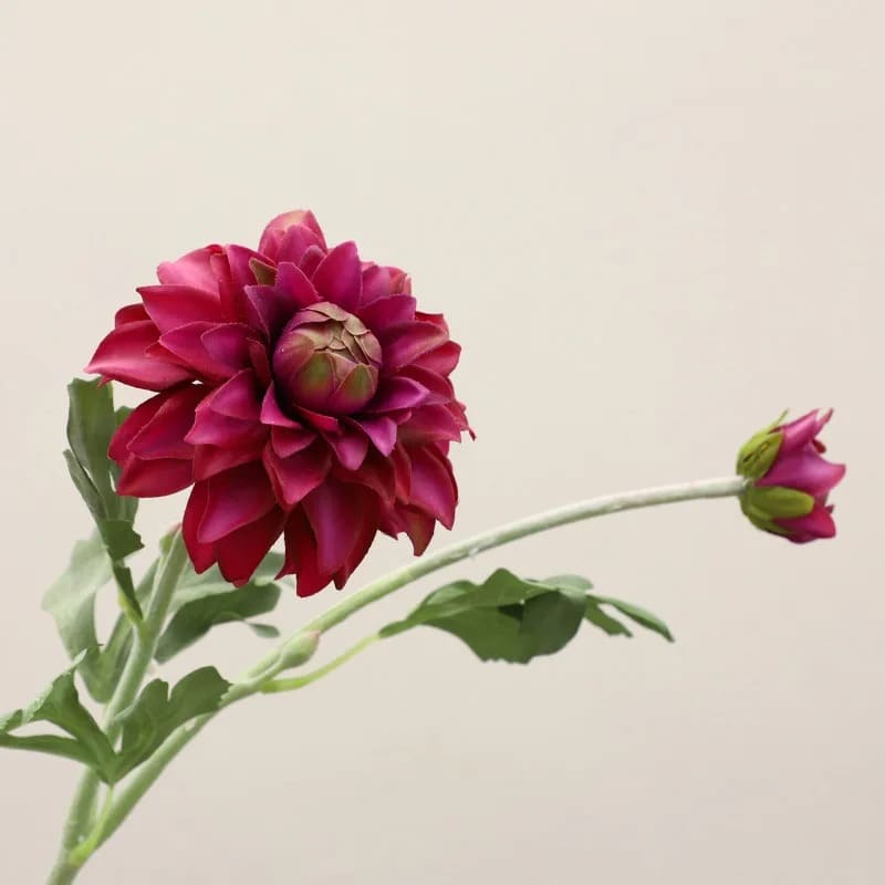 Fleur Dahlia Mangenta