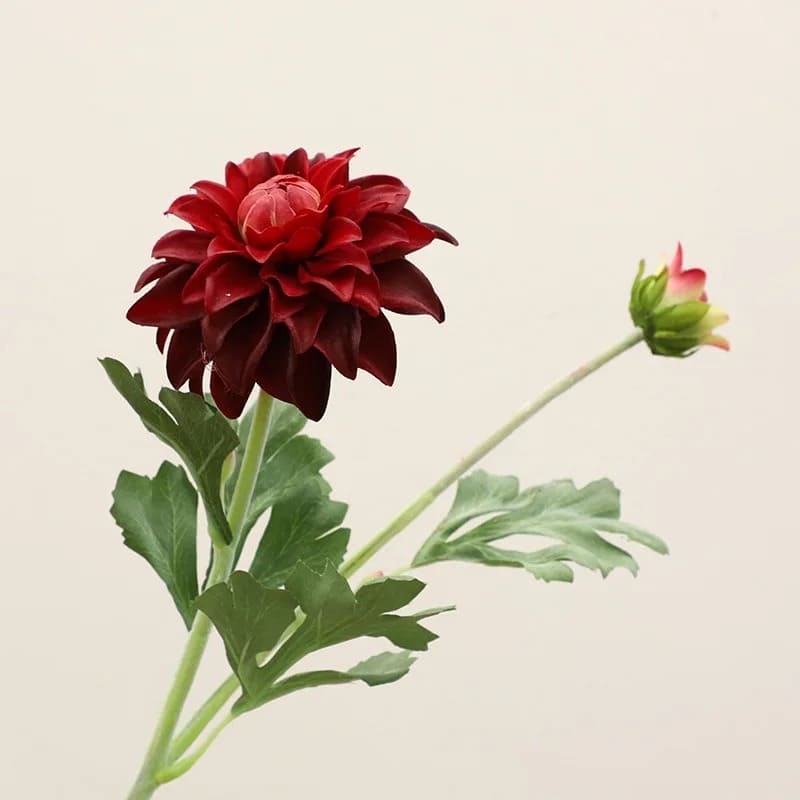 Fleur Dahlia Rouge