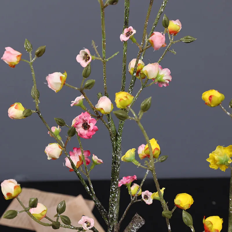 fleur de cognassier du japon blanc