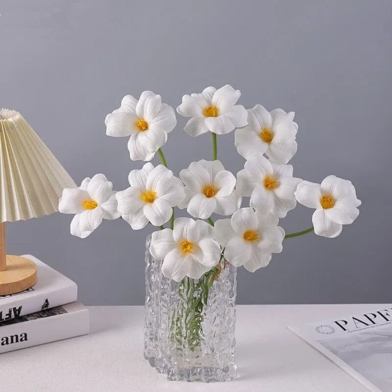 fleurs narcisses blanc