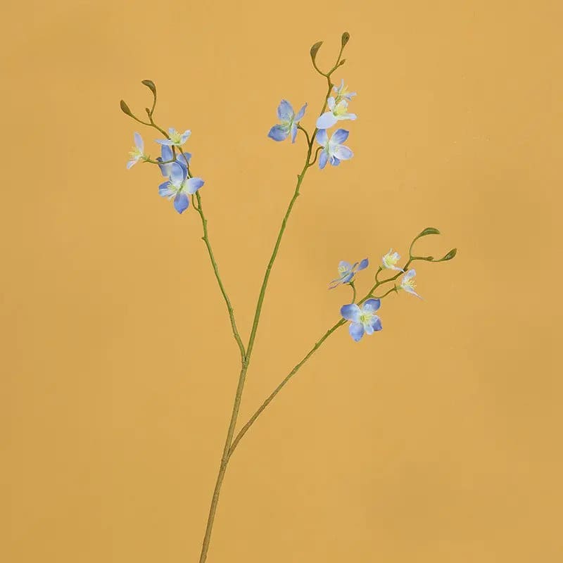 fleurs pieds d'alouette bleu