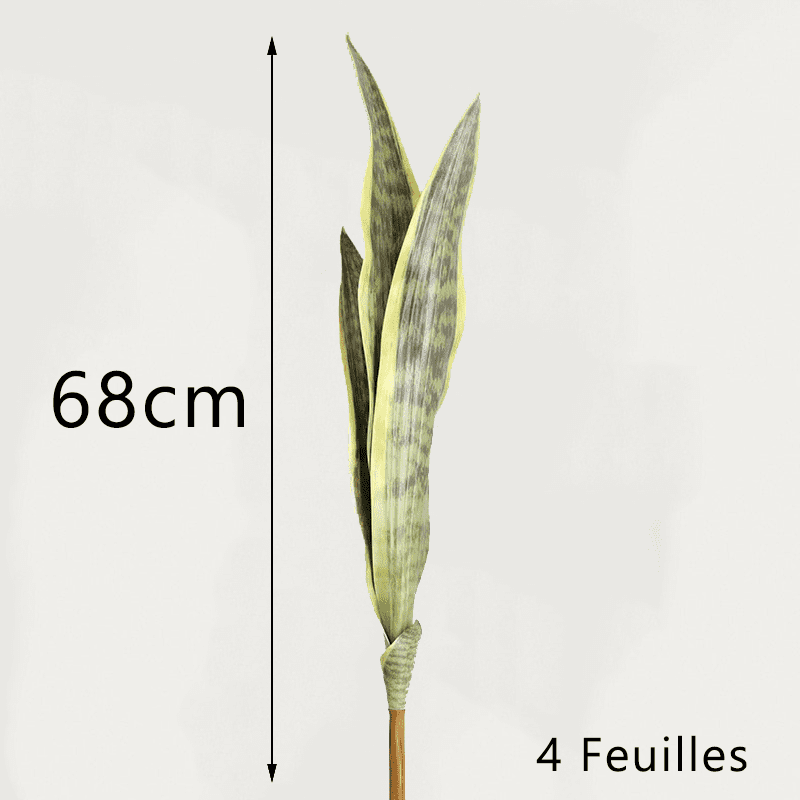 Bouture Sansevieria 68cm