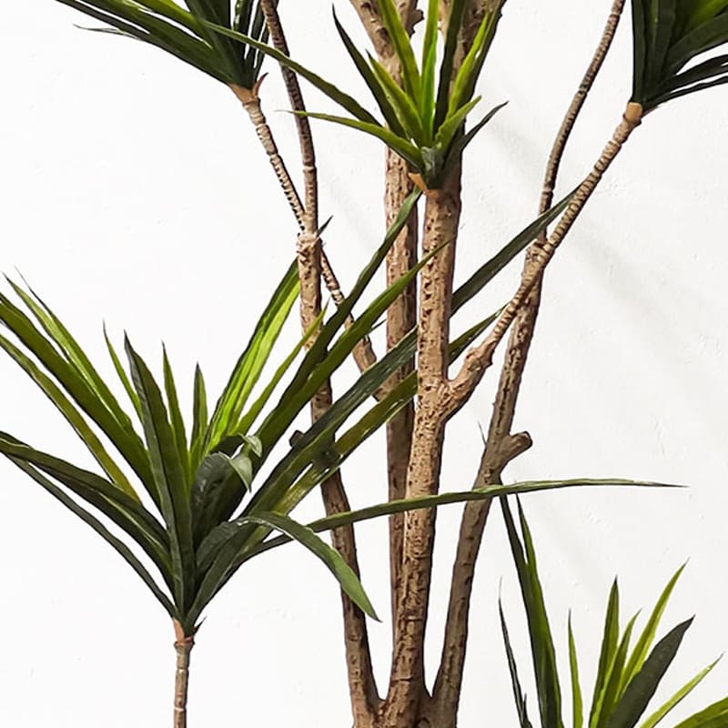 Dracaena Marginata Artificiel Branches