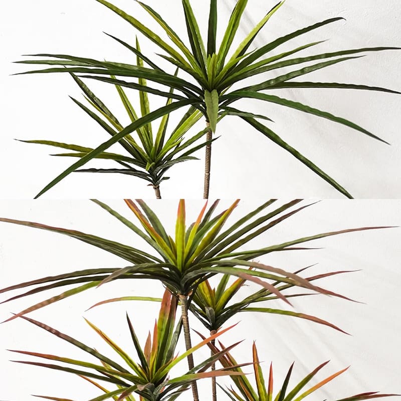 Dracaena Marginata Artificiel Feuilles