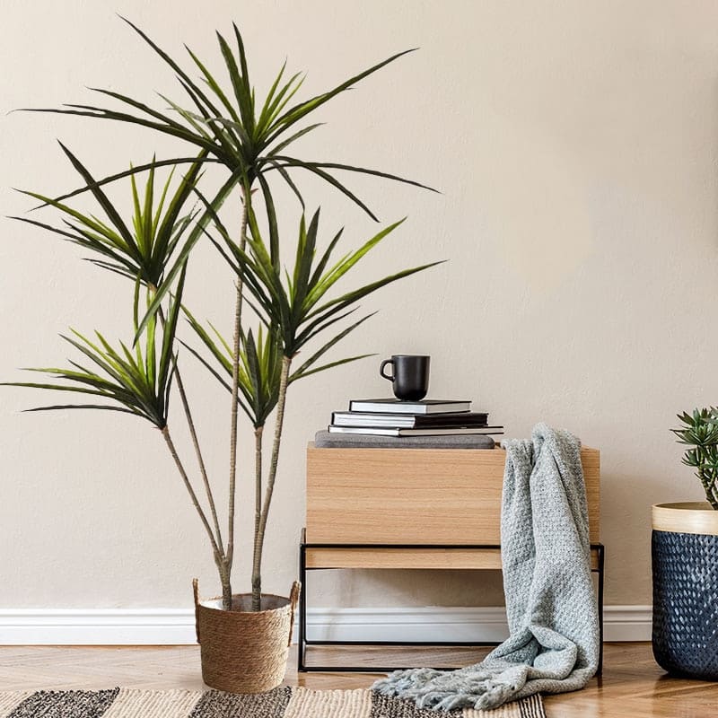 Dracaena Marginata Artificiel Intérieur